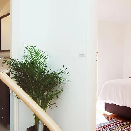 Casa Buganvilia Σπίτι διακοπών *